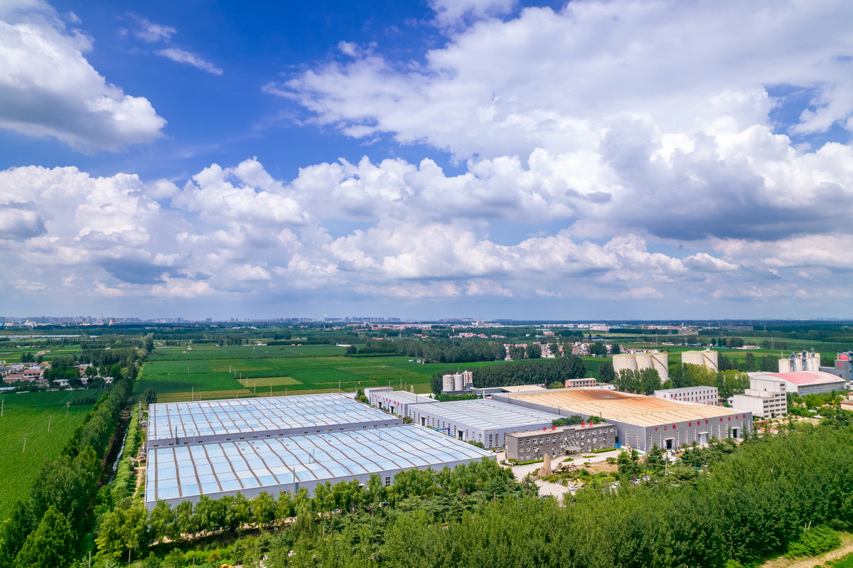 1692170652784899.jpg DJI_0034.jpg